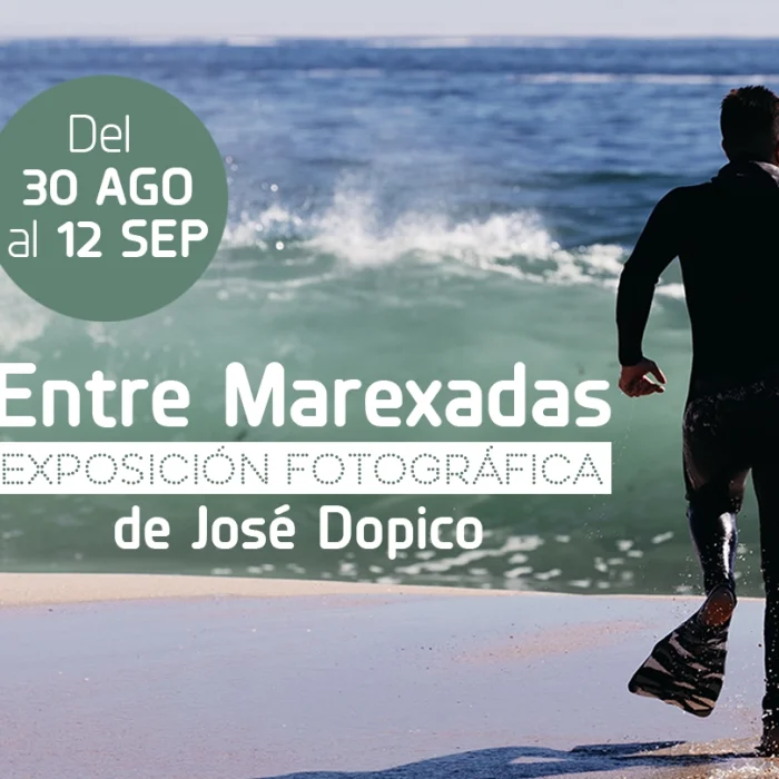 slider_expo copia