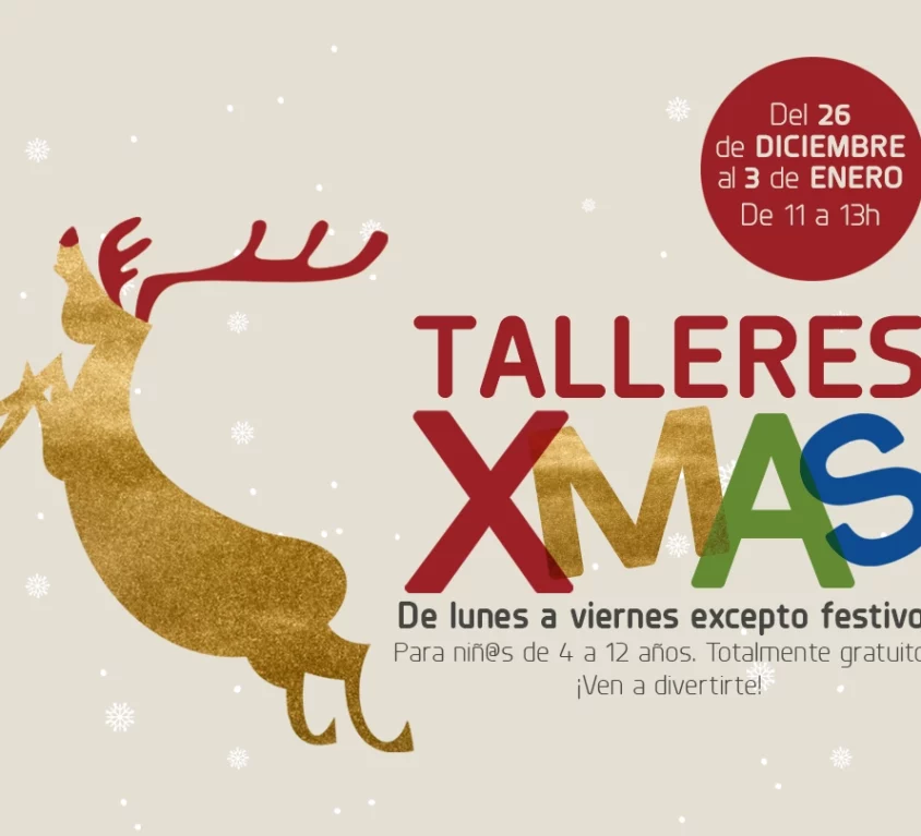 slider_xmastalleres copia