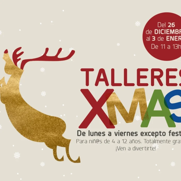 slider_xmastalleres copia