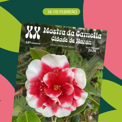 eventos_febrero_web_05