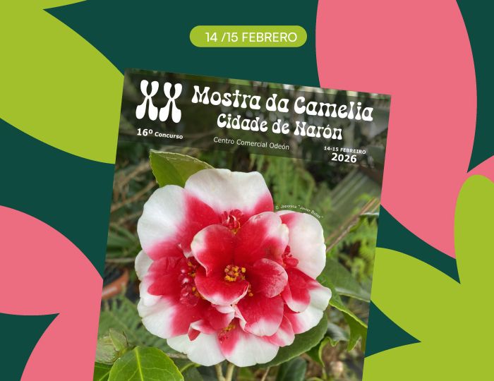 eventos_febrero_web_05