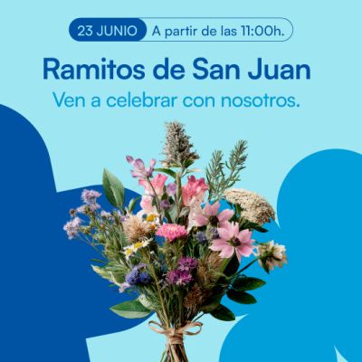 WEB_SANJUAN