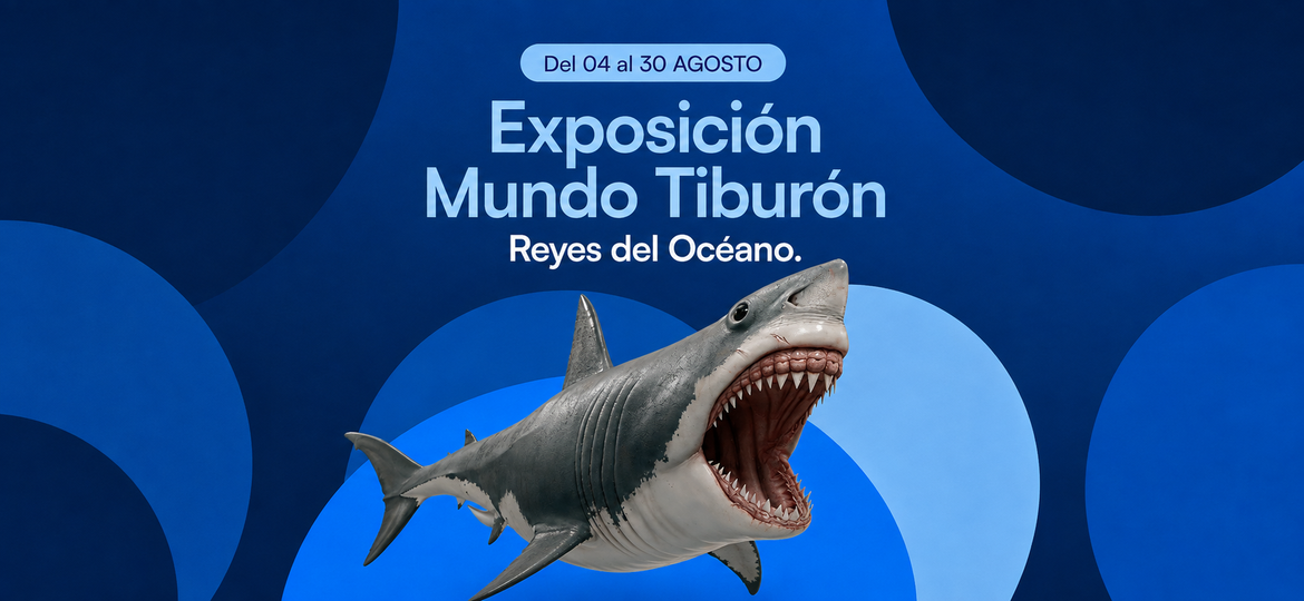 expo-tiburones
