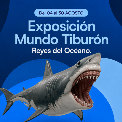expo-tiburones