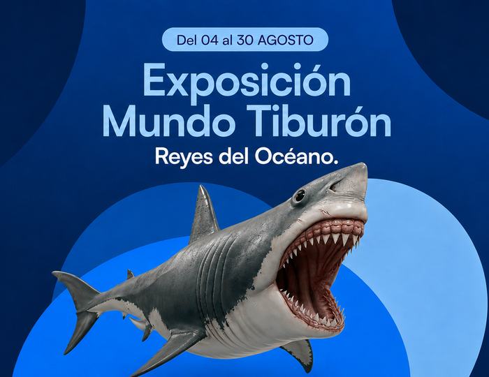 expo-tiburones